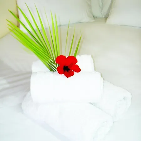 Mat Old Town σ Rétino