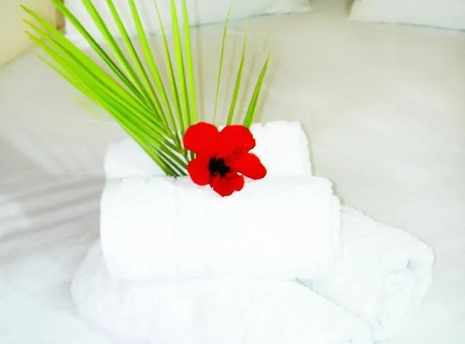 Mat Old Town σ Rethymno